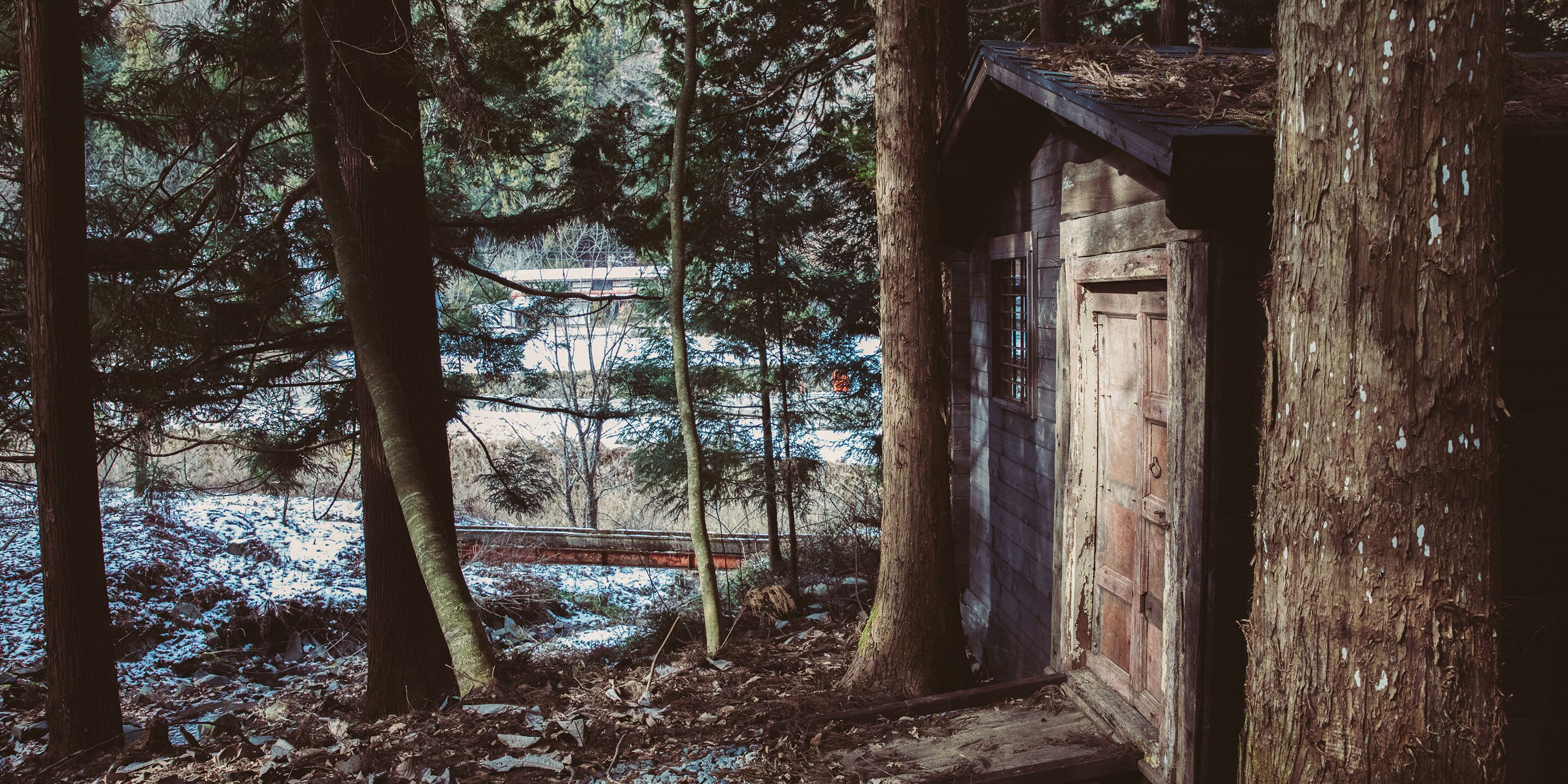 A rustic cabin with a wooden exterior, surrounded by tall trees and a snowy ground.