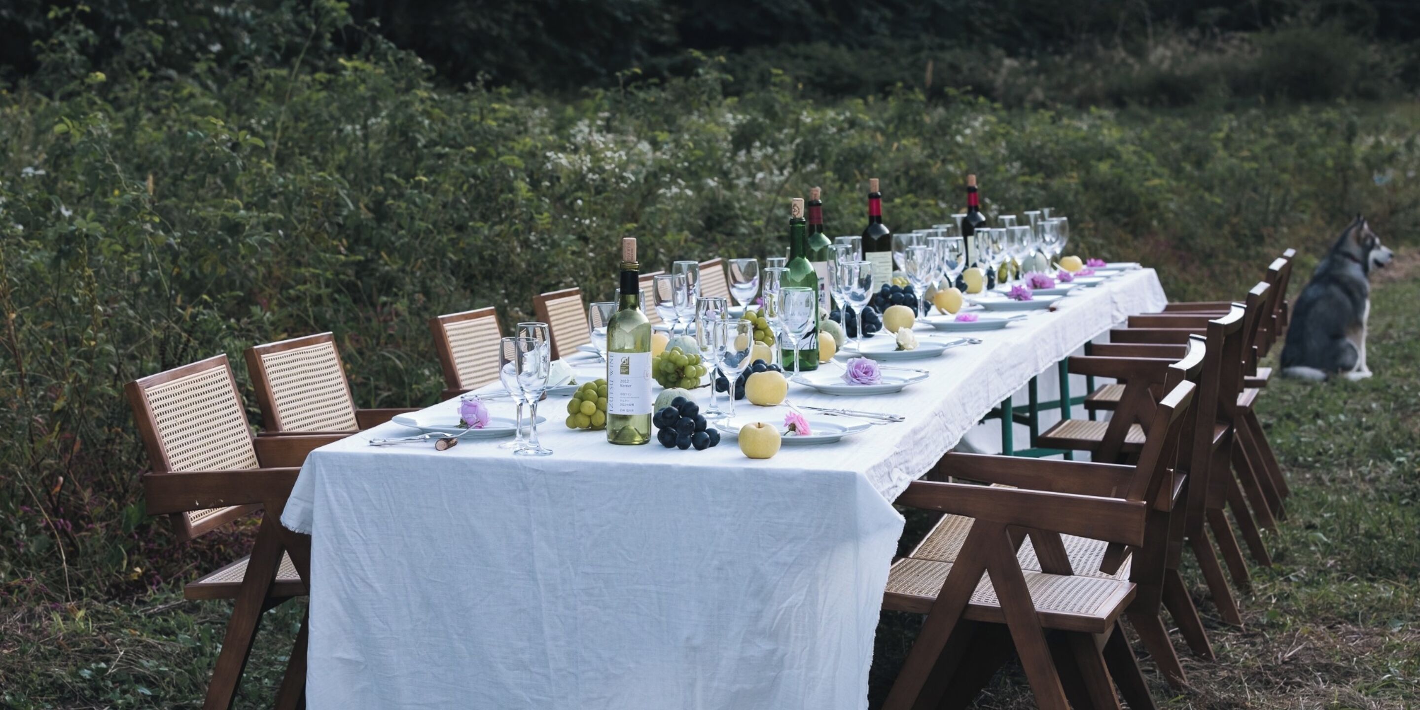 Una larga mesa de comedor al aire libre con sillas, botellas, vasos y frutas.