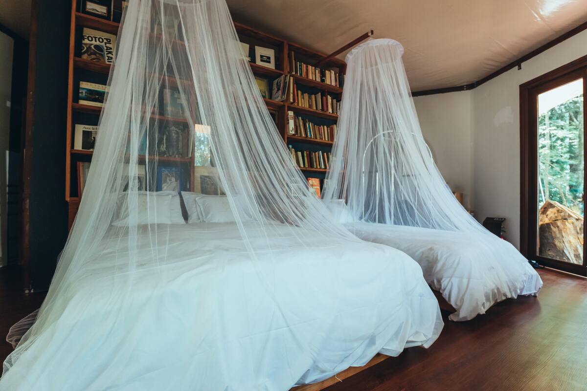 Quarto com duas camas cobertas por toldos brancos, uma estante e vista para o exterior.