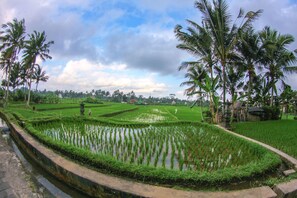 Golf - Peacefull Villa in Ubud with Private Pool (Bali)