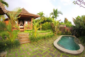 Pool - Peacefull Villa in Ubud with Private Pool (Bali)