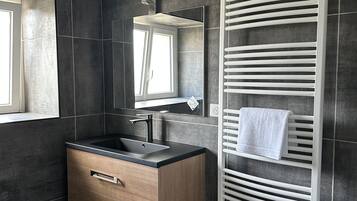 Shower, towels, toilet paper