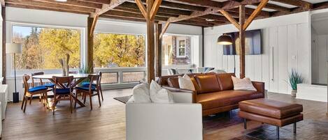 Télévision, cheminée, espaces bureaux