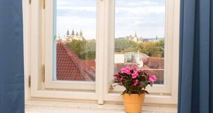 Historische 2 Zimmer- Familienwohnung im Herzen von Prag