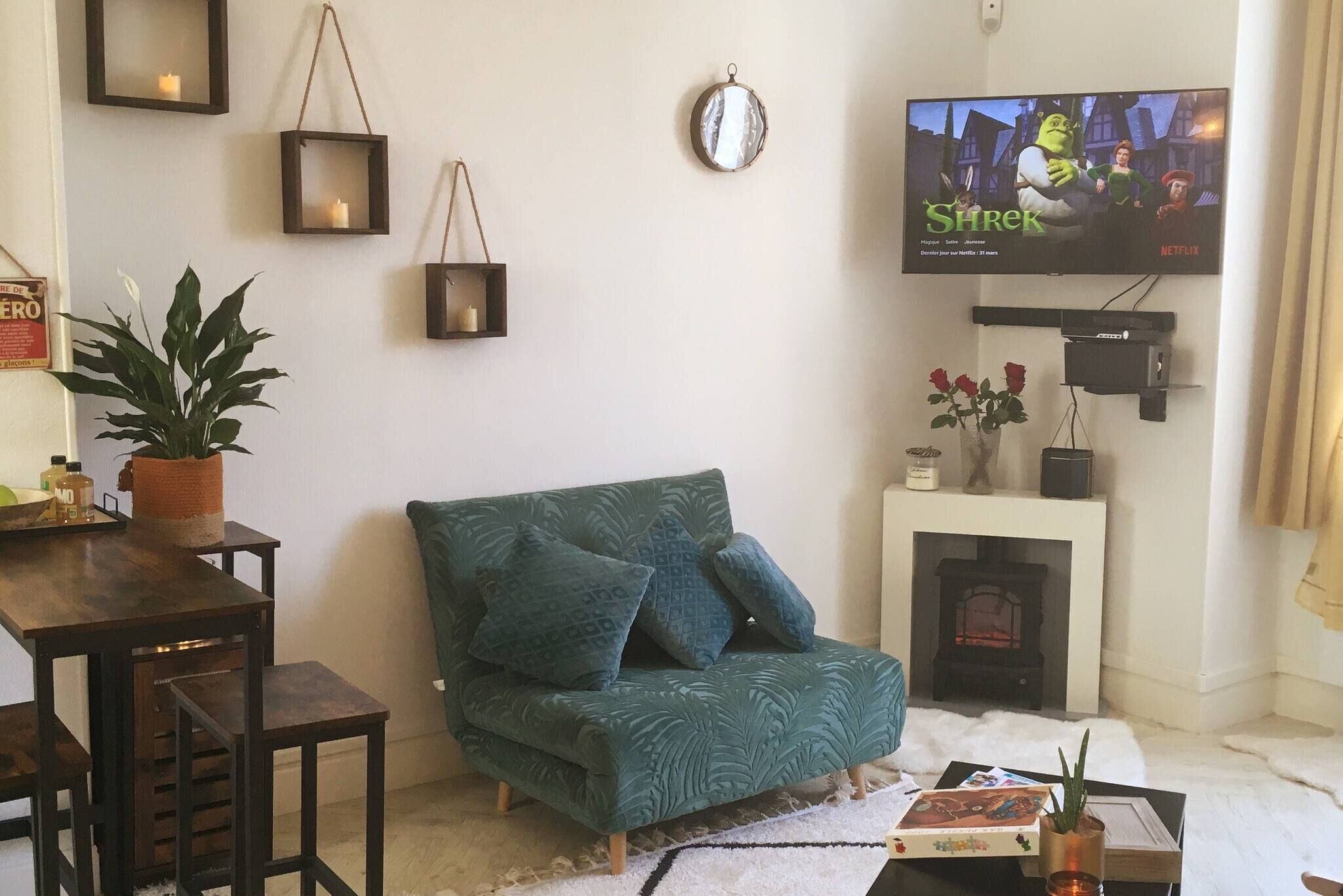 Télévision, cheminée, jeux vidéo, chaîne hi-fi