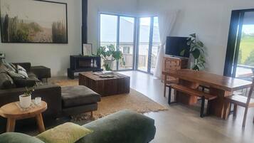 Smart TV, fireplace, DVD player, books