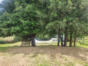 المنطقة المحيطة بالمنشأة