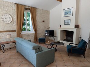 Televisión, chimenea y tenis de mesa 