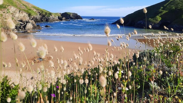 A beach with rocky cliffs, a sandy shore, and wildflowers in the foreground. - New modern house near Herlin Beach (Bangor)