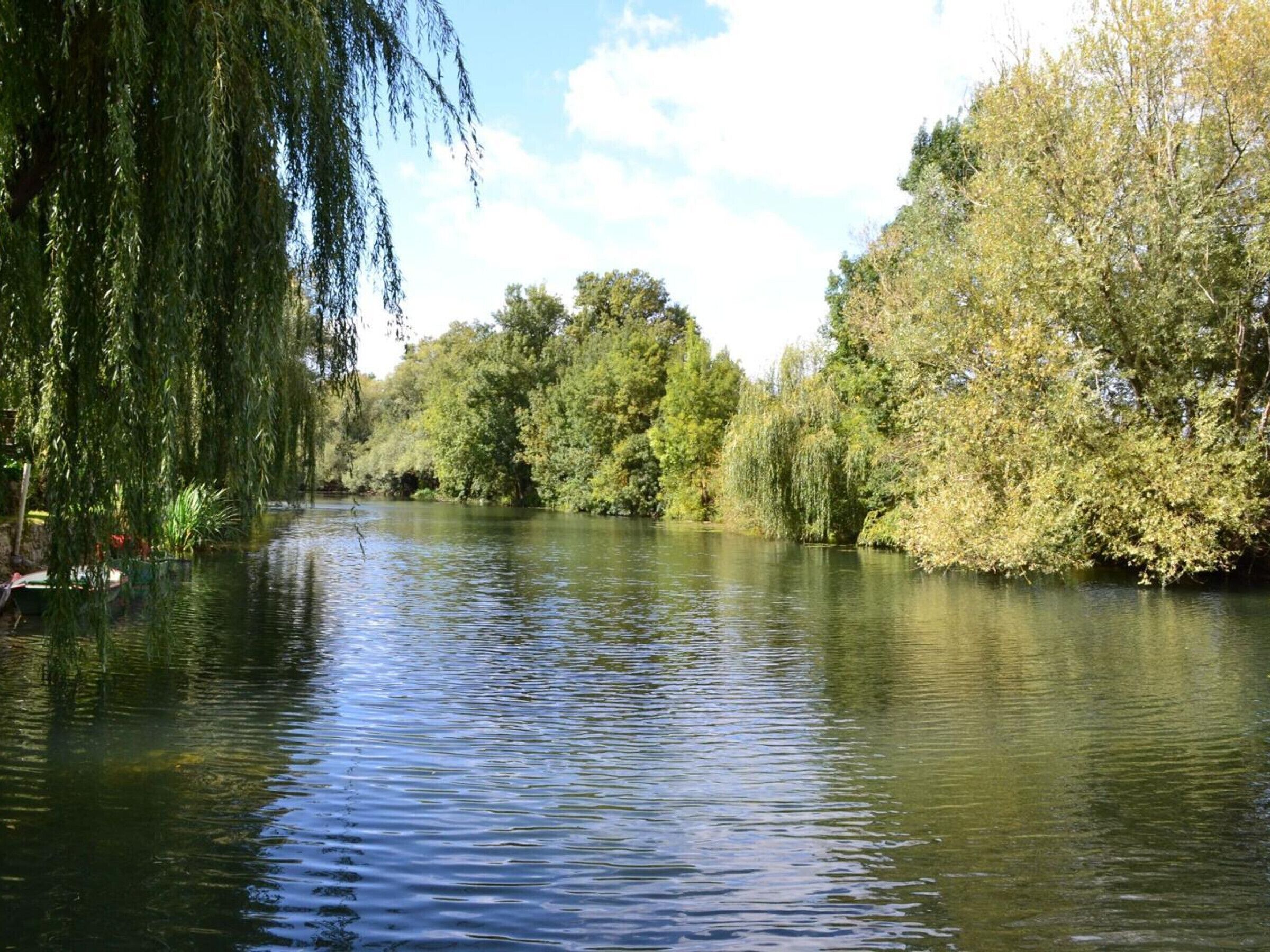Un río tranquilo con árboles a ambos lados.