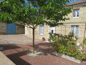Stroll through a serene courtyard surrounded by a central tree and a small garden.