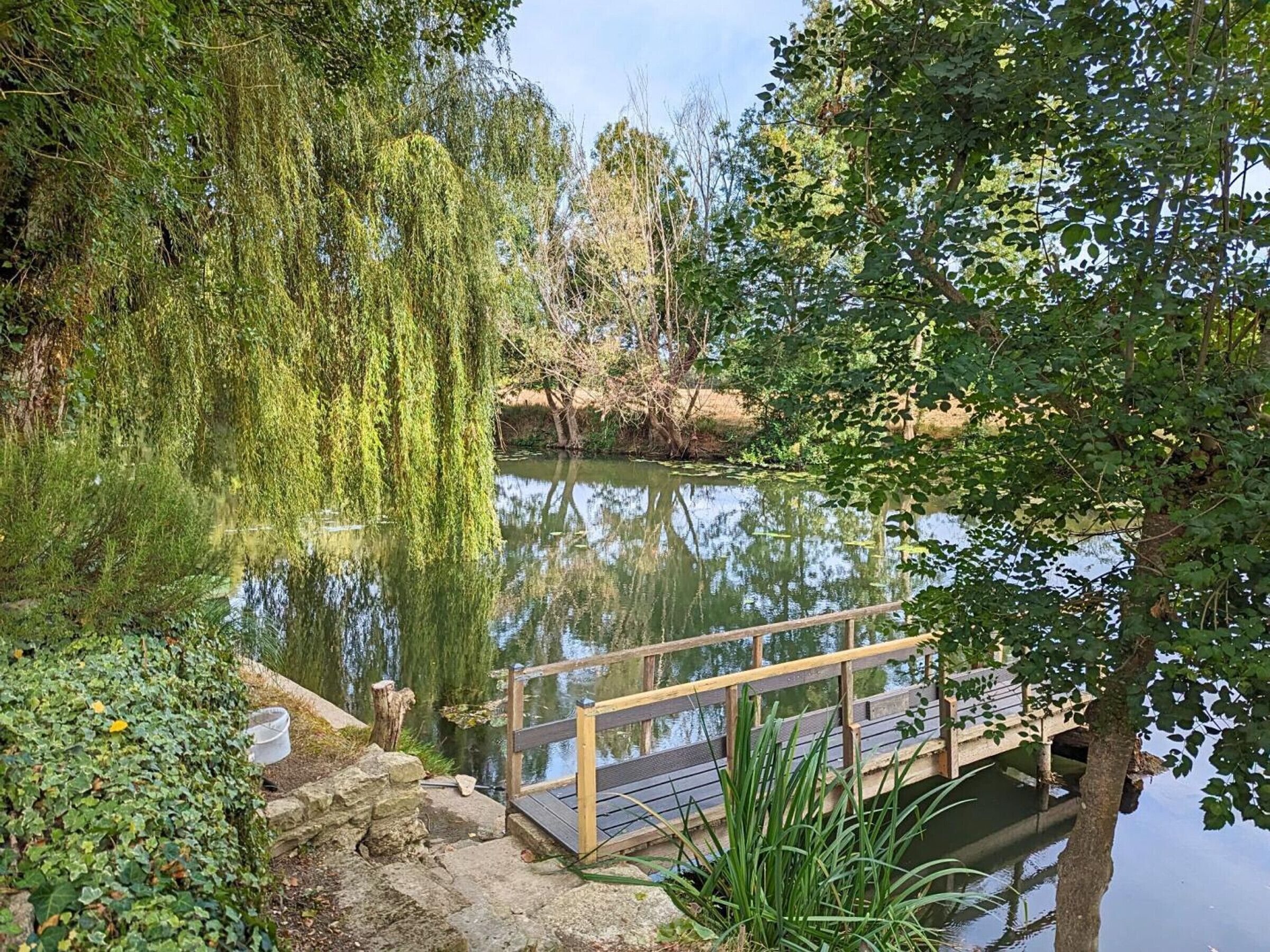 Un puente de madera sobre un estanque tranquilo, rodeado de árboles y follaje.