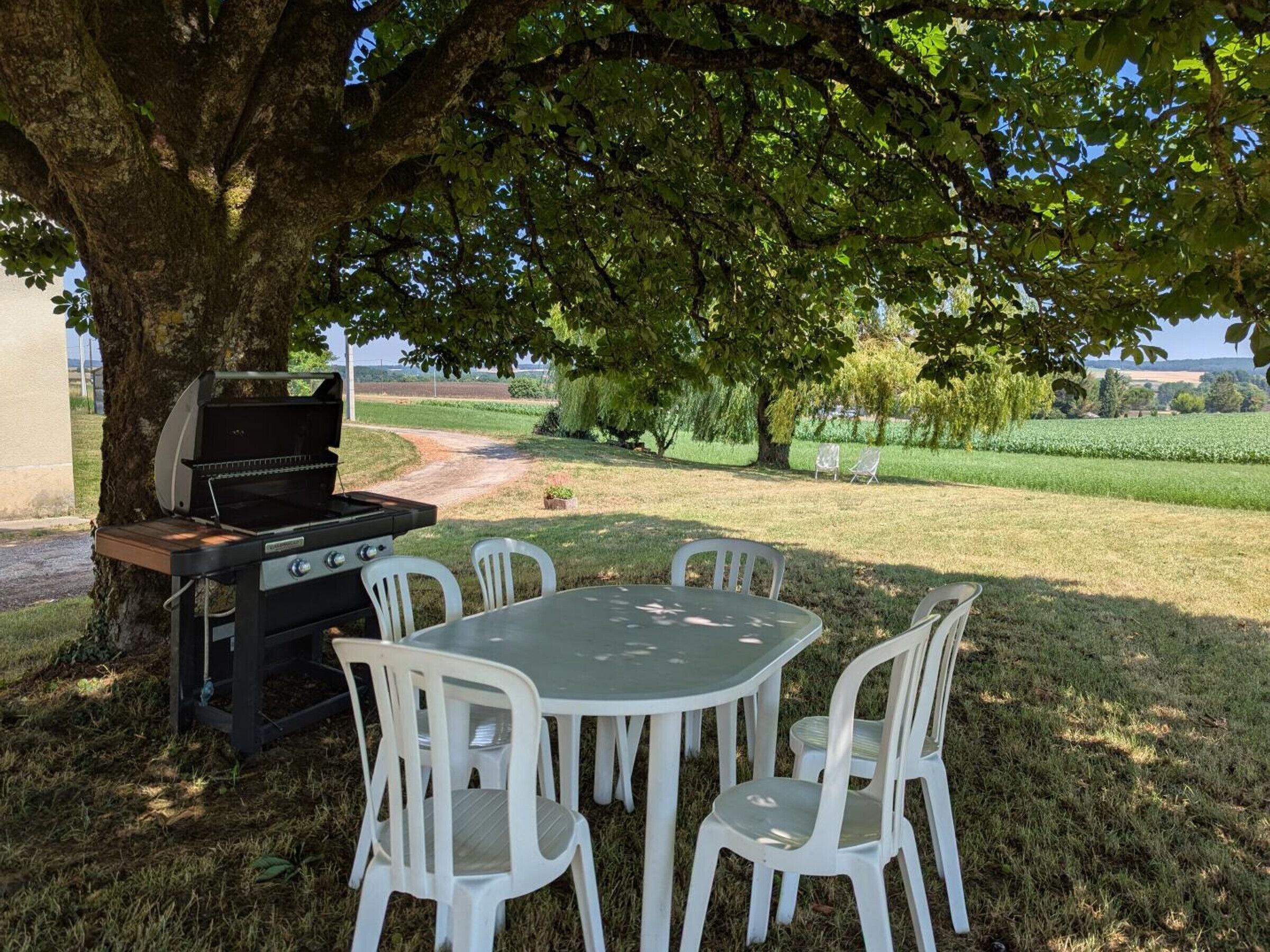 An outdoor dining area with a grill, white plastic chairs, and a table under a large tree.