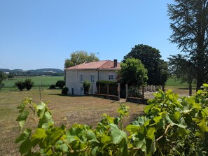 A house with a red roof, surrounded by a fenced yard and a vineyard.