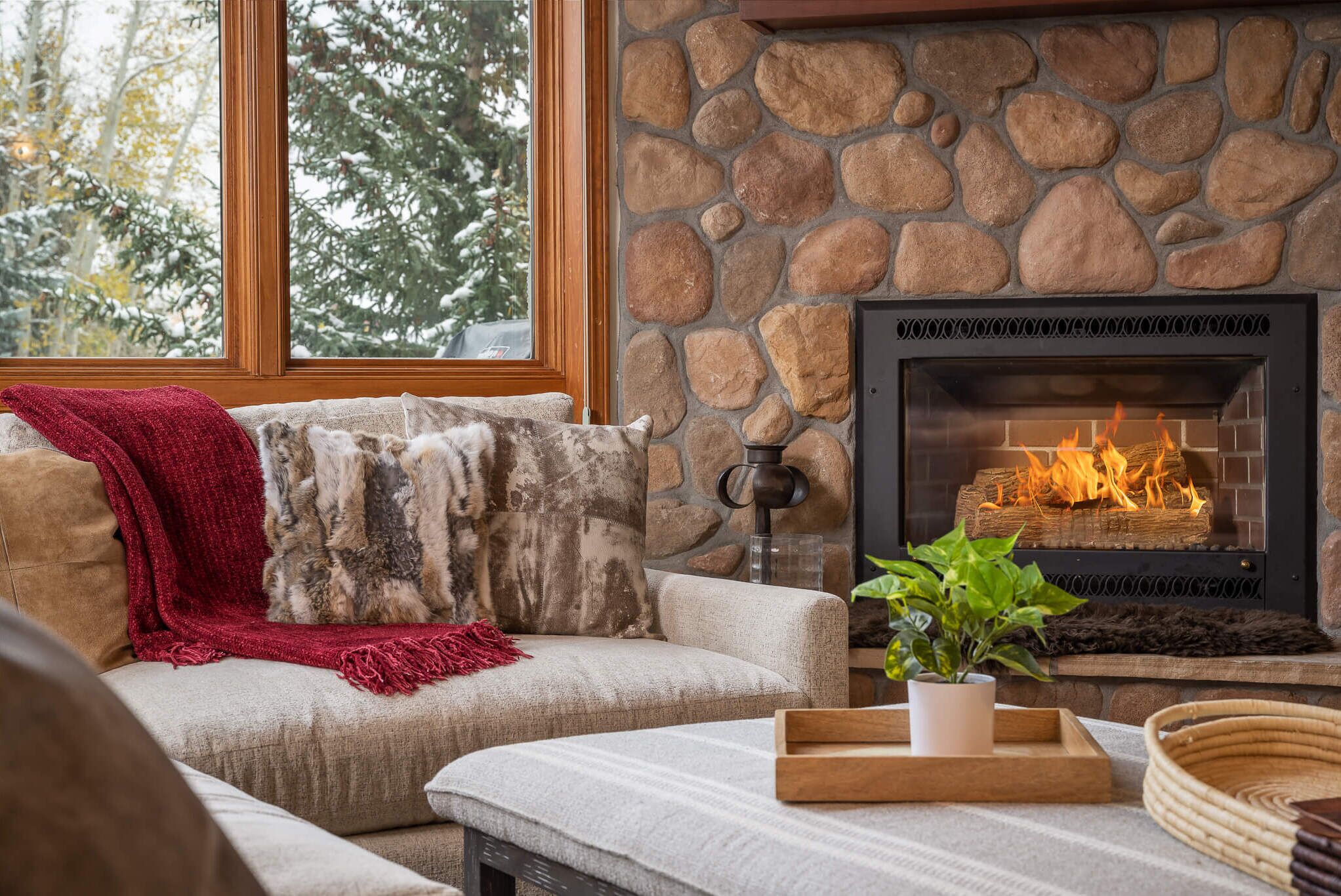 TV, fireplace, DVD player