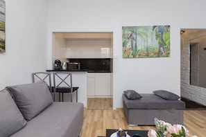 Fernseher, Arbeitsbereiche