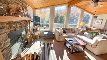 Smart TV, fireplace, DVD player
