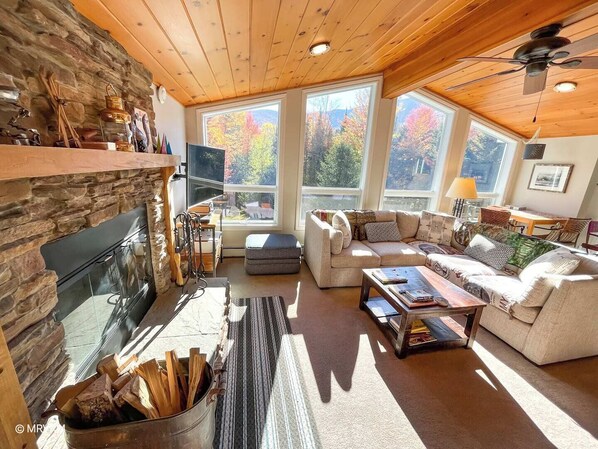 Smart TV, chimenea y reproductor de DVD