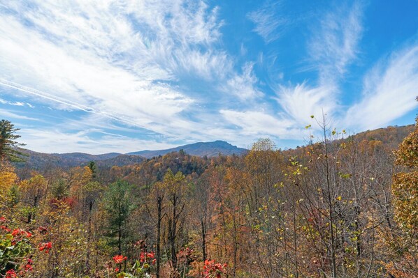 Miscellaneous - Evergreens 1522- Mtn Condo, Gated Resort, Indoor/Outdoor Pools & Hot Tub (Boone)