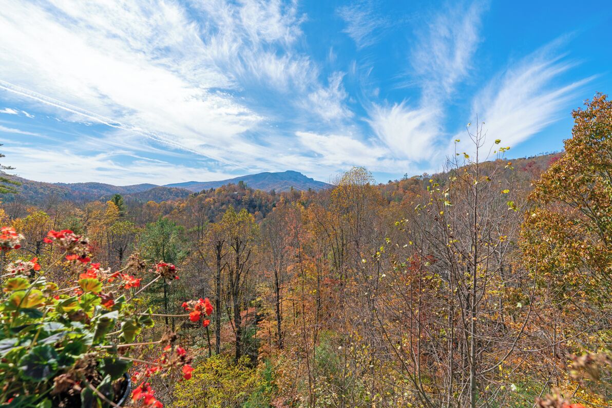 A forested landscape with a clear sky.
