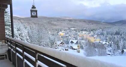 Sachrův Kopec by Interhome