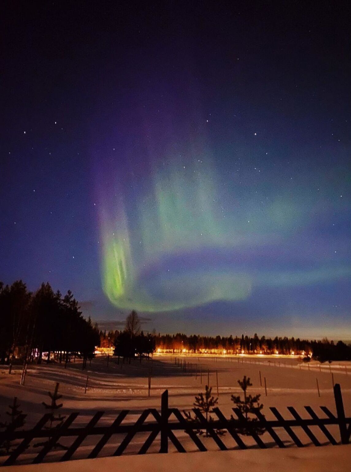 A snowy landscape with a fence and trees under a night sky with the aurora borealis.