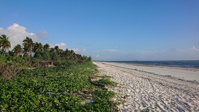 Balungi Bungalow & Restaurant