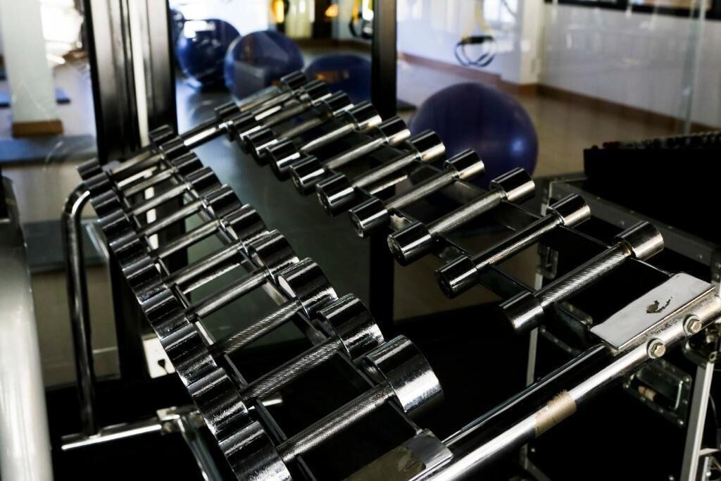 A row of black dumbbells on a rack in a gym.