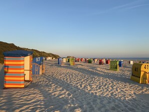 A beach with rows of colorful beach huts numbered 223, 3, 9, 41, and 207.