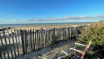Plage, chaises longues