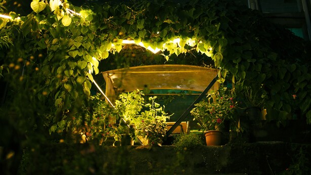 A greenhouse with plants and a car covered in foliage. - Dolphin Nose Retreat (Kodaikanal)
