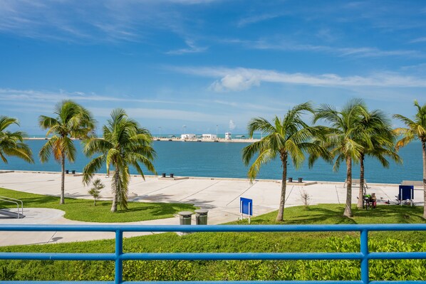 A coastal promenade with palm trees, a clear blue sky, and a view of the sea.