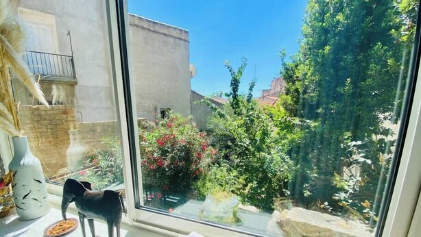 Une pièce dotée d’une grande fenêtre donnant sur un jardin où l’on peut admirer différentes plantes et une statue.