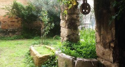 La Terrasse du Mole