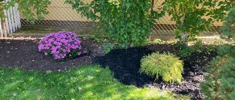 Àrea exterior de l'allotjament