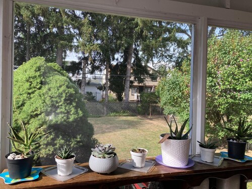 Charming, Convenience and Comfort - Minutes from Downtown Rochester