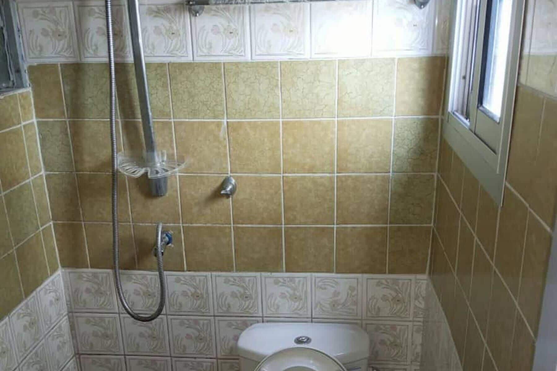 淋浴设施、毛巾、卫生纸