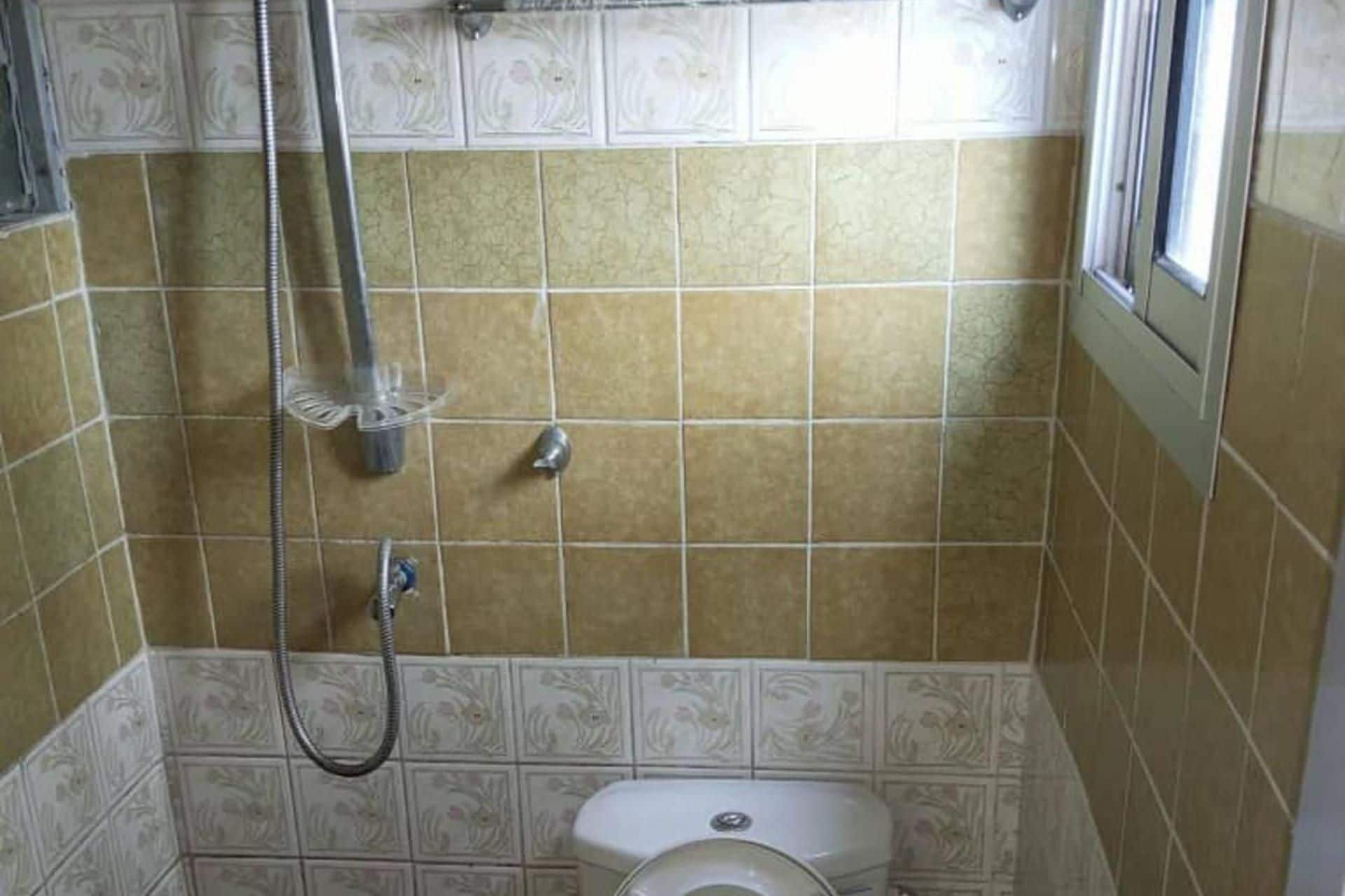 A bathroom with a shower, toilet, and decorative tiles.