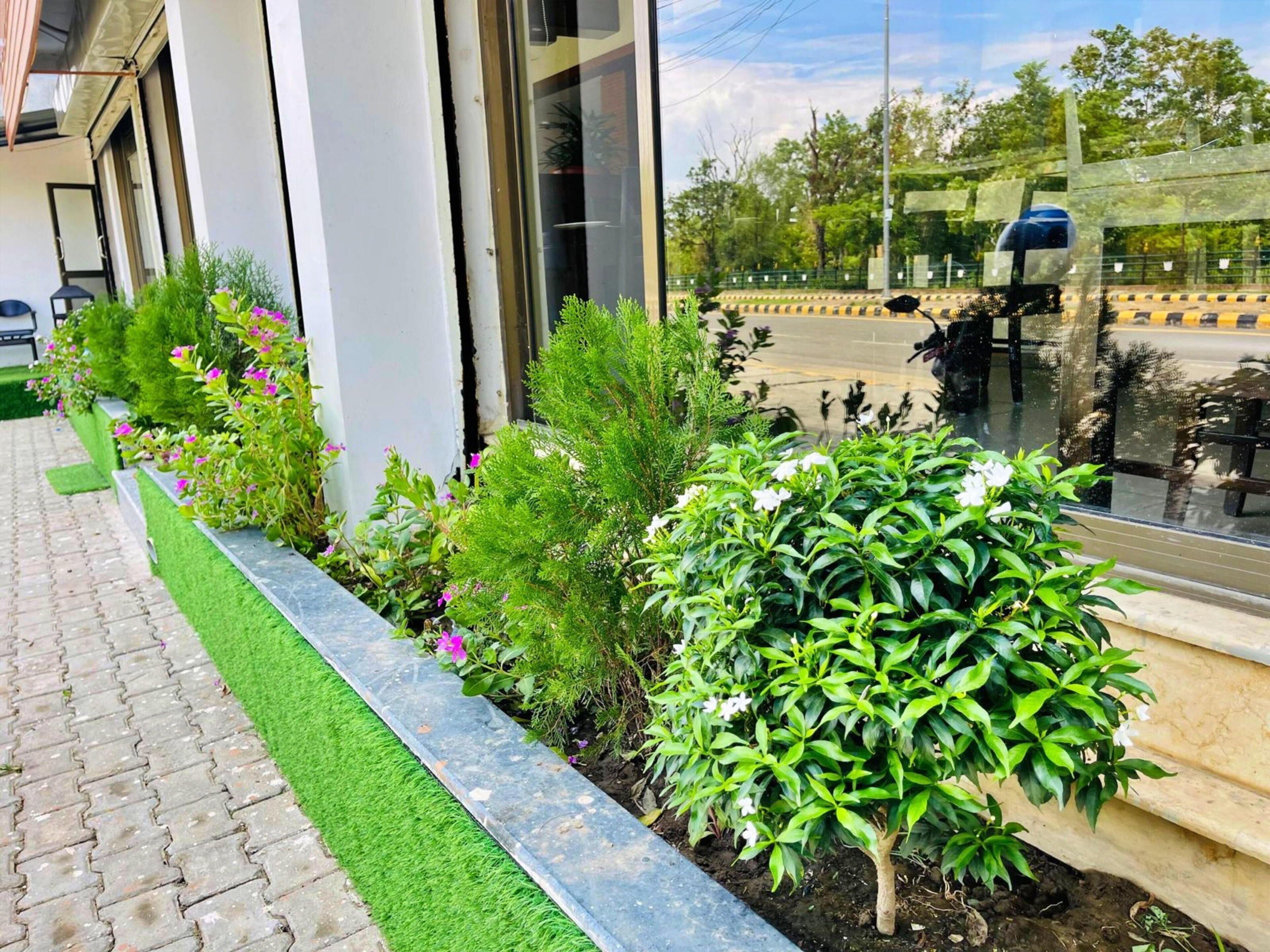 A paved walkway with a green artificial turf edge, bordered by a variety of plants and shrubs.
