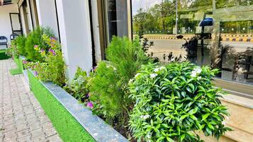 A paved walkway with a green artificial turf edge, bordered by a variety of plants and shrubs.