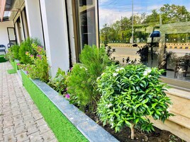Un sendero pavimentado con borde de césped artificial verde, bordeado por diversas plantas y arbustos.