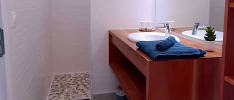A modern bathroom with a walk-in shower, a wooden vanity with a mirror, and a small potted plant.