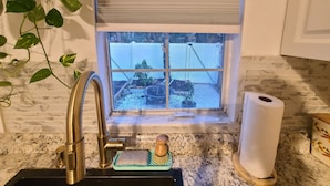 Una cocina con ventana, un lavamanos, una planta y un rollo de toallas de papel.