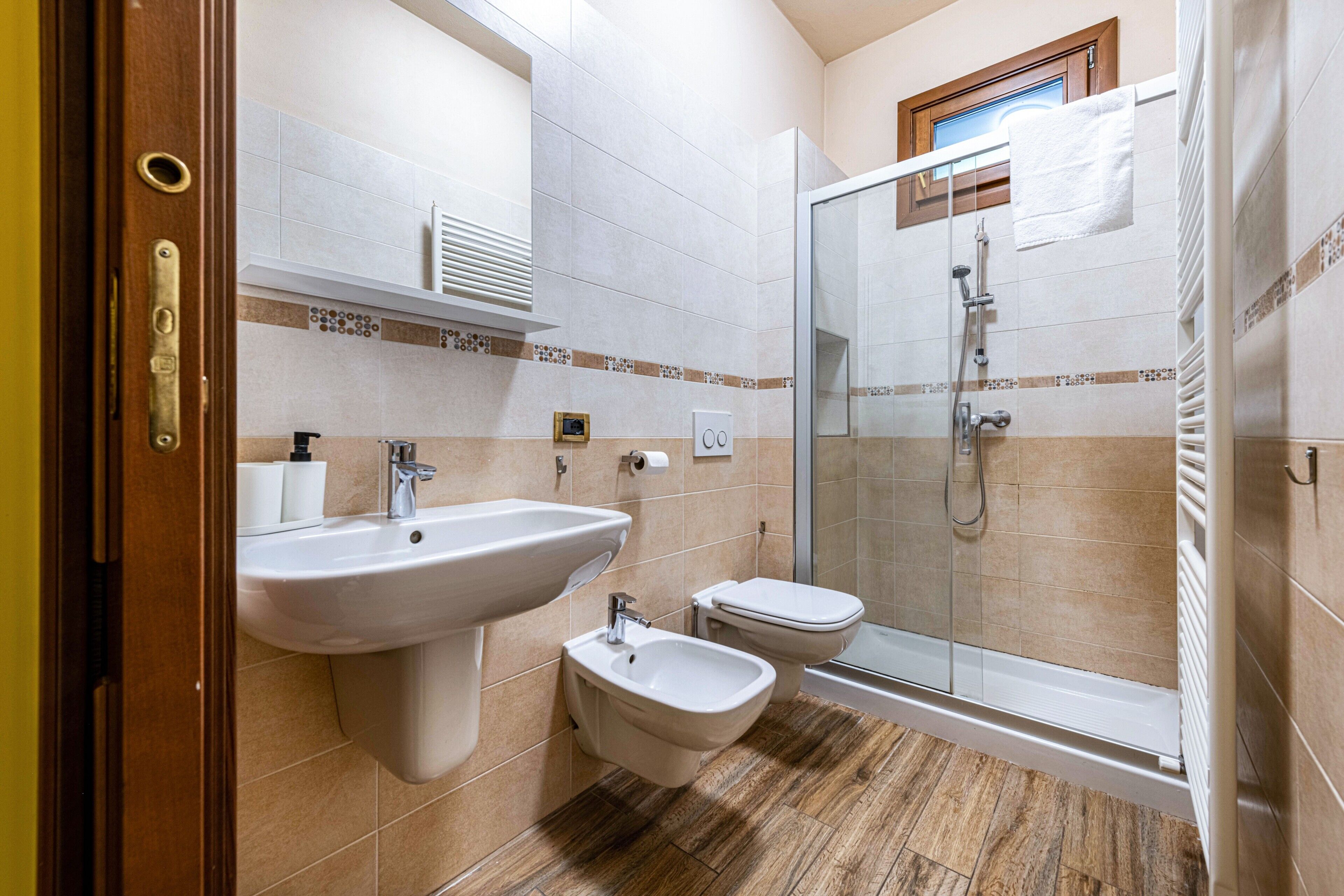 Shower, hair dryer, towels