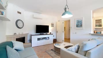 TV, fireplace, DVD player