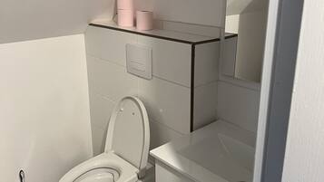 Shower, towels, toilet paper