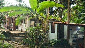 Una casa rústica con una pequeña cocina, un sendero de piedra y abundante vegetación.