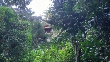 A natural outdoor setting with a stream, rocks, and dense foliage.