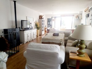 تلفزيون ذكي، مدفأة