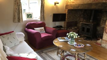 Tv, pejs, dvd-afspiller, bøger